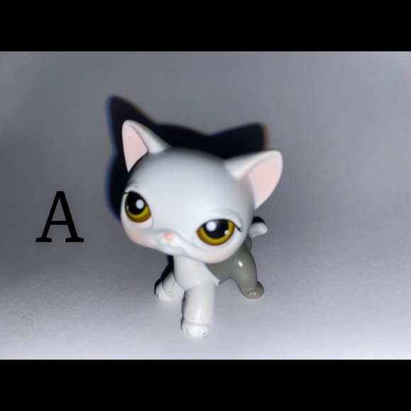 little pet shop cats